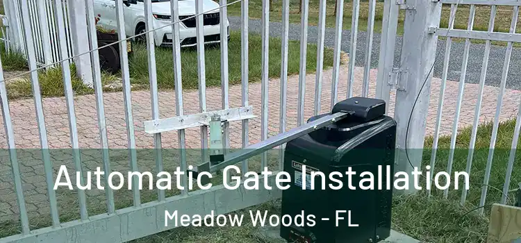 Automatic Gate Installation Meadow Woods - FL