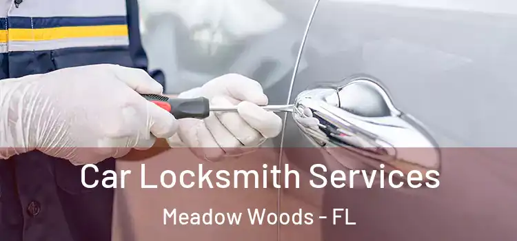 Car Locksmith Services Meadow Woods - FL