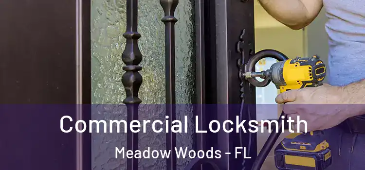 Commercial Locksmith Meadow Woods - FL