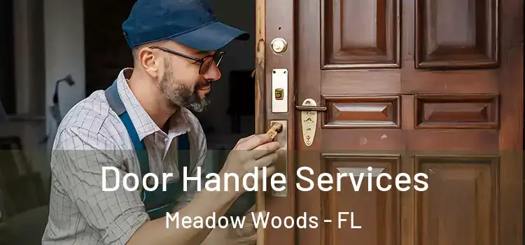 Door Handle Services Meadow Woods - FL
