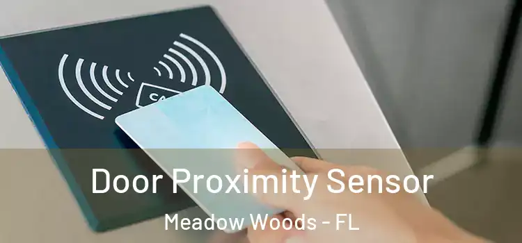 Door Proximity Sensor Meadow Woods - FL