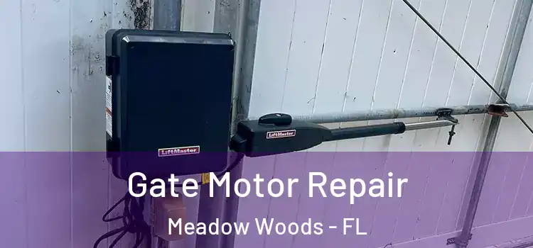  Gate Motor Repair Meadow Woods - FL
