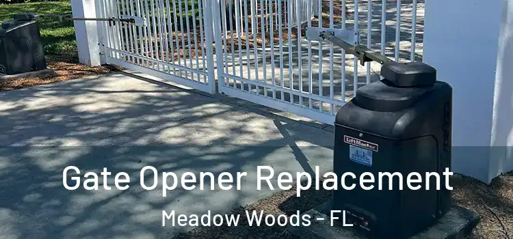 Gate Opener Replacement Meadow Woods - FL