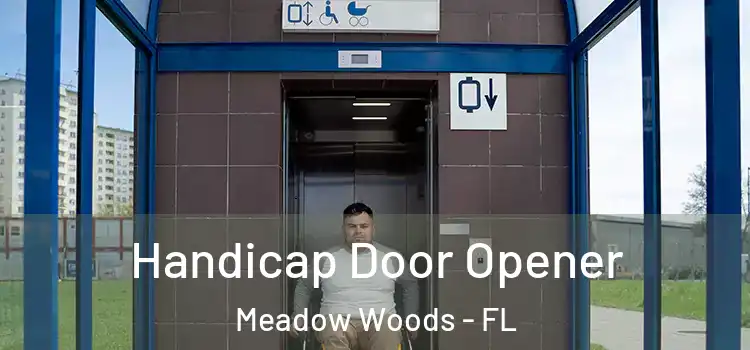  Handicap Door Opener Meadow Woods - FL