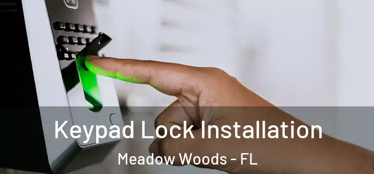 Keypad Lock Installation Meadow Woods - FL
